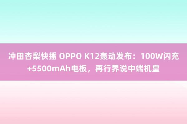 冲田杏梨快播 OPPO K12轰动发布：100W闪充+5500mAh电板，再行界说中端机皇