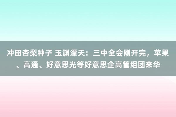 冲田杏梨种子 玉渊潭天：三中全会刚开完，苹果、高通、好意思光等好意思企高管组团来华