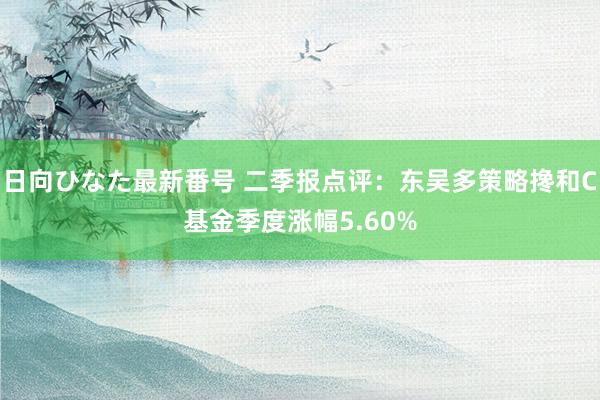 日向ひなた最新番号 二季报点评：东吴多策略搀和C基金季度涨幅5.60%