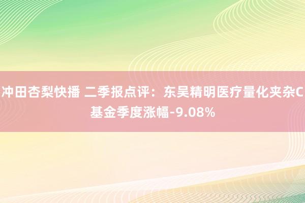 冲田杏梨快播 二季报点评：东吴精明医疗量化夹杂C基金季度涨幅-9.08%