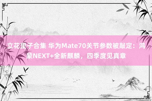 立花里子合集 华为Mate70关节参数被敲定：鸿蒙NEXT+全新麒麟，四季度见真章