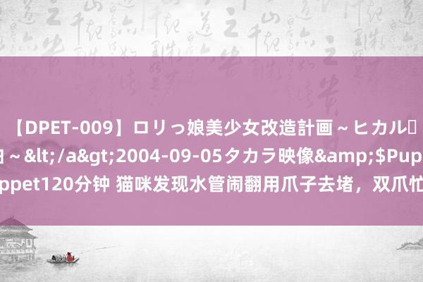 【DPET-009】ロリっ娘美少女改造計画～ヒカル・初淫欲体験告白～</a>2004-09-05タカラ映像&$Puppet120分钟 猫咪发现水管闹翻用爪子去堵，双爪忙不时：铲屎的，快来维护！