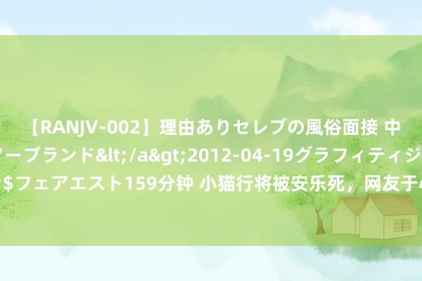 【RANJV-002】理由ありセレブの風俗面接 中出しできる人妻ソープランド</a>2012-04-19グラフィティジャパン&$フェアエスト159分钟 小猫行将被安乐死，网友于心不忍将它带回家，却跟爱猫长得像姐妹