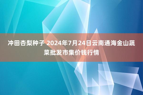 冲田杏梨种子 2024年7月24日云南通海金山蔬菜批发市集价钱行情