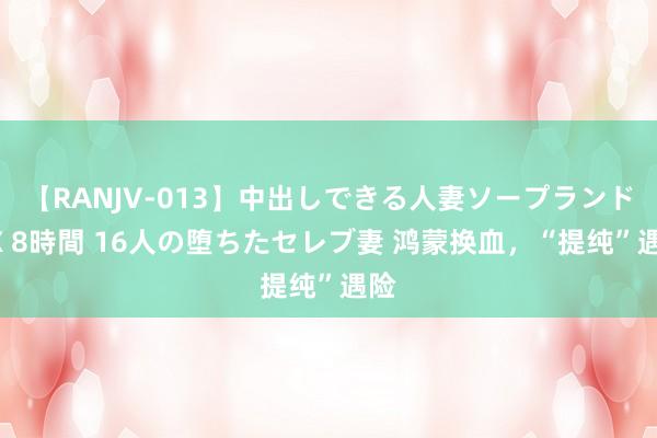 【RANJV-013】中出しできる人妻ソープランドDX 8時間 16人の堕ちたセレブ妻 鸿蒙换血，“提纯”遇险