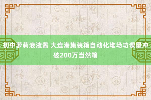 初中萝莉液液酱 大连港集装箱自动化堆场功课量冲破200万当然箱