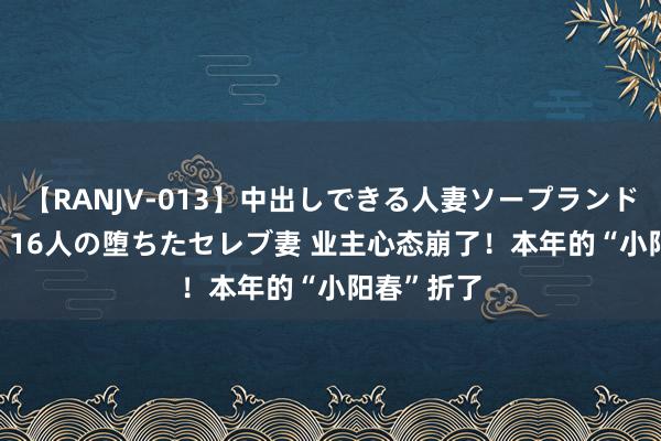 【RANJV-013】中出しできる人妻ソープランドDX 8時間 16人の堕ちたセレブ妻 业主心态崩了！本年的“小阳春”折了