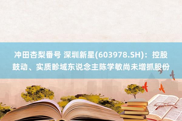 冲田杏梨番号 深圳新星(603978.SH)：控股鼓动、实质畛域东说念主陈学敏尚未增抓股份