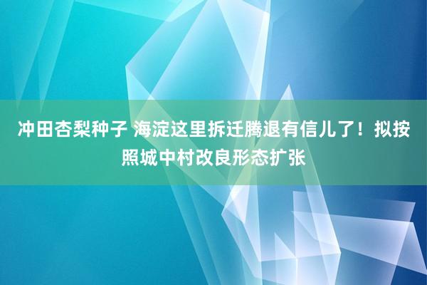 冲田杏梨种子 海淀这里拆迁腾退有信儿了！拟按照城中村改良形态扩张