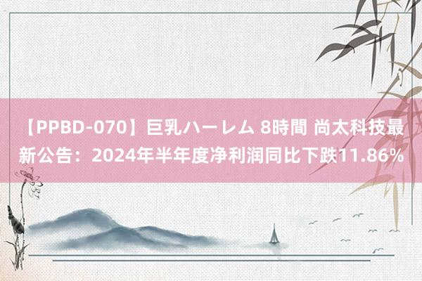 【PPBD-070】巨乳ハーレム 8時間 尚太科技最新公告：2024年半年度净利润同比下跌11.86%