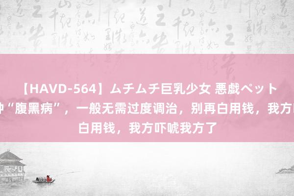 【HAVD-564】ムチムチ巨乳少女 悪戯ペット めぐみ 5种“腹黑病”，一般无需过度调治，别再白用钱，我方吓唬我方了