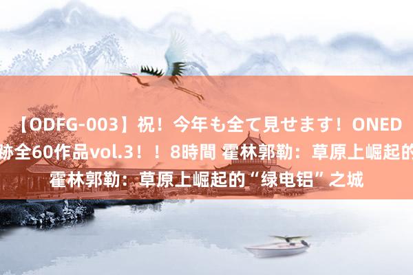 【ODFG-003】祝！今年も全て見せます！ONEDAFULL1年の軌跡全60作品vol.3！！8時間 霍林郭勒：草原上崛起的“绿电铝”之城