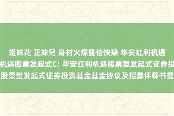 姐妹花 正妹兒 身材火爆雙倍快樂 华安红利机遇股票发起式A，华安红利机遇股票发起式C: 华安红利机遇股票型发起式证券投资基金基金协议及招募评释书提醒性公告