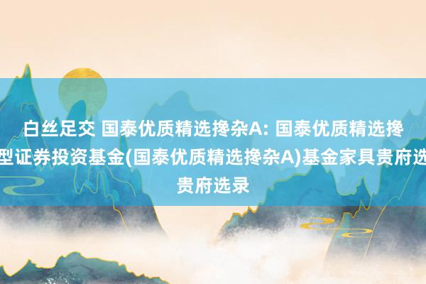 白丝足交 国泰优质精选搀杂A: 国泰优质精选搀杂型证券投资基金(国泰优质精选搀杂A)基金家具贵府选录