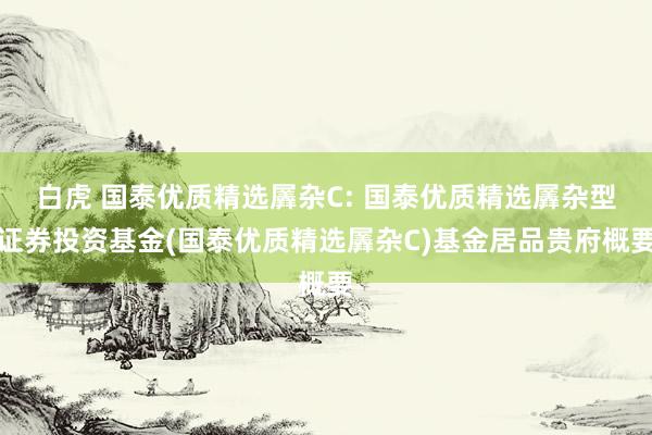 白虎 国泰优质精选羼杂C: 国泰优质精选羼杂型证券投资基金(国泰优质精选羼杂C)基金居品贵府概要