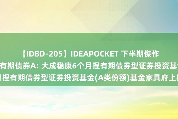 【IDBD-205】IDEAPOCKET 下半期傑作集2009 大成稳康6个月捏有期债券A: 大成稳康6个月捏有期债券型证券投资基金(A类份额)基金家具府上摘记