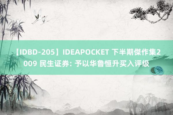 【IDBD-205】IDEAPOCKET 下半期傑作集2009 民生证券: 予以华鲁恒升买入评级