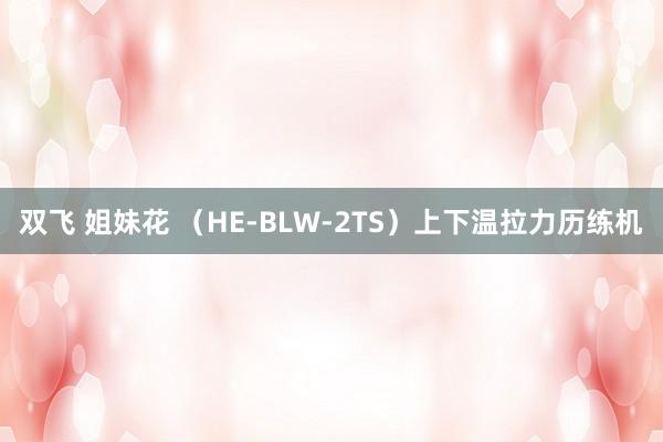 双飞 姐妹花 （HE-BLW-2TS）上下温拉力历练机