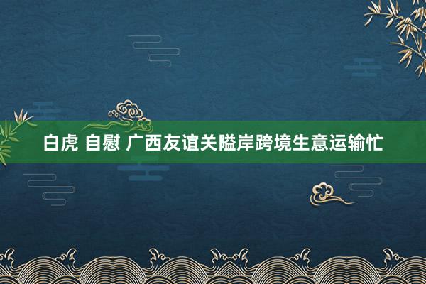 白虎 自慰 广西友谊关隘岸跨境生意运输忙