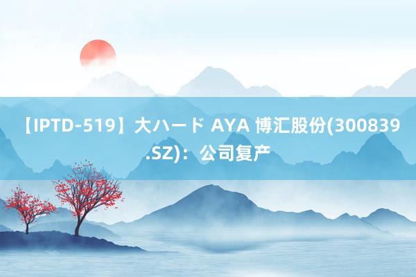 【IPTD-519】大ハード AYA 博汇股份(300839.SZ)：公司复产