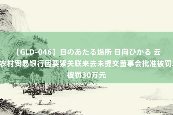 【GLD-046】日のあたる場所 日向ひかる 云南龙陵农村贸易银行因要紧关联来去未提交董事会批准被罚30万元