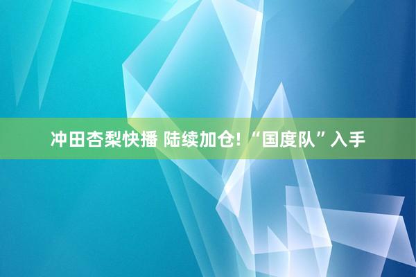 冲田杏梨快播 陆续加仓! “国度队”入手