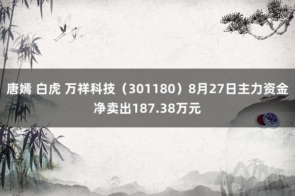 唐嫣 白虎 万祥科技（301180）8月27日主力资金净卖出187.38万元