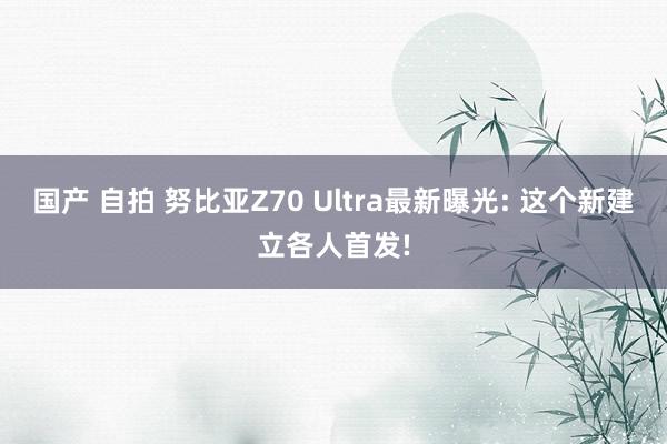 国产 自拍 努比亚Z70 Ultra最新曝光: 这个新建立各人首发!