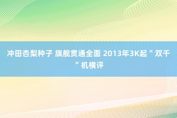 冲田杏梨种子 旗舰贯通全面 2013年3K起＂双千＂机横评