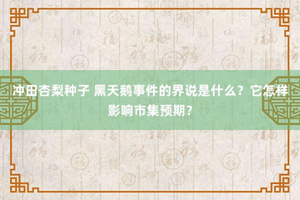 冲田杏梨种子 黑天鹅事件的界说是什么？它怎样影响市集预期？