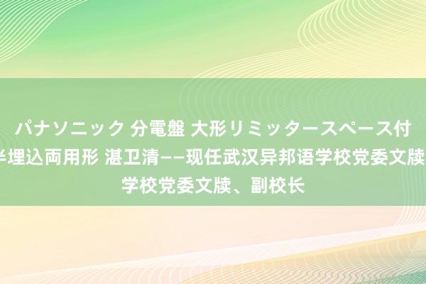 パナソニック 分電盤 大形リミッタースペース付 露出・半埋込両用形 湛卫清——现任武汉异邦语学校党委文牍、副校长