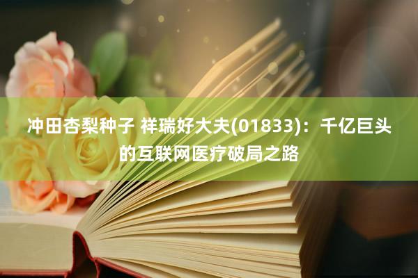 冲田杏梨种子 祥瑞好大夫(01833)：千亿巨头的互联网医疗破局之路